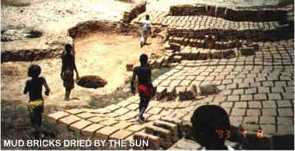 Mud bricks drying in the sun.