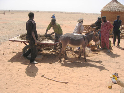 using a donkey