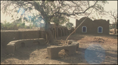 yard